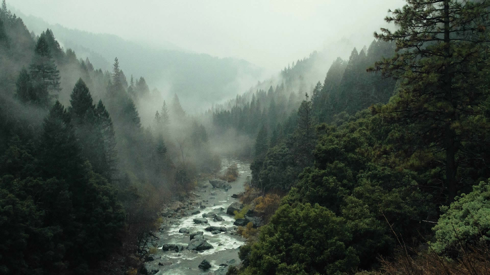 Desert